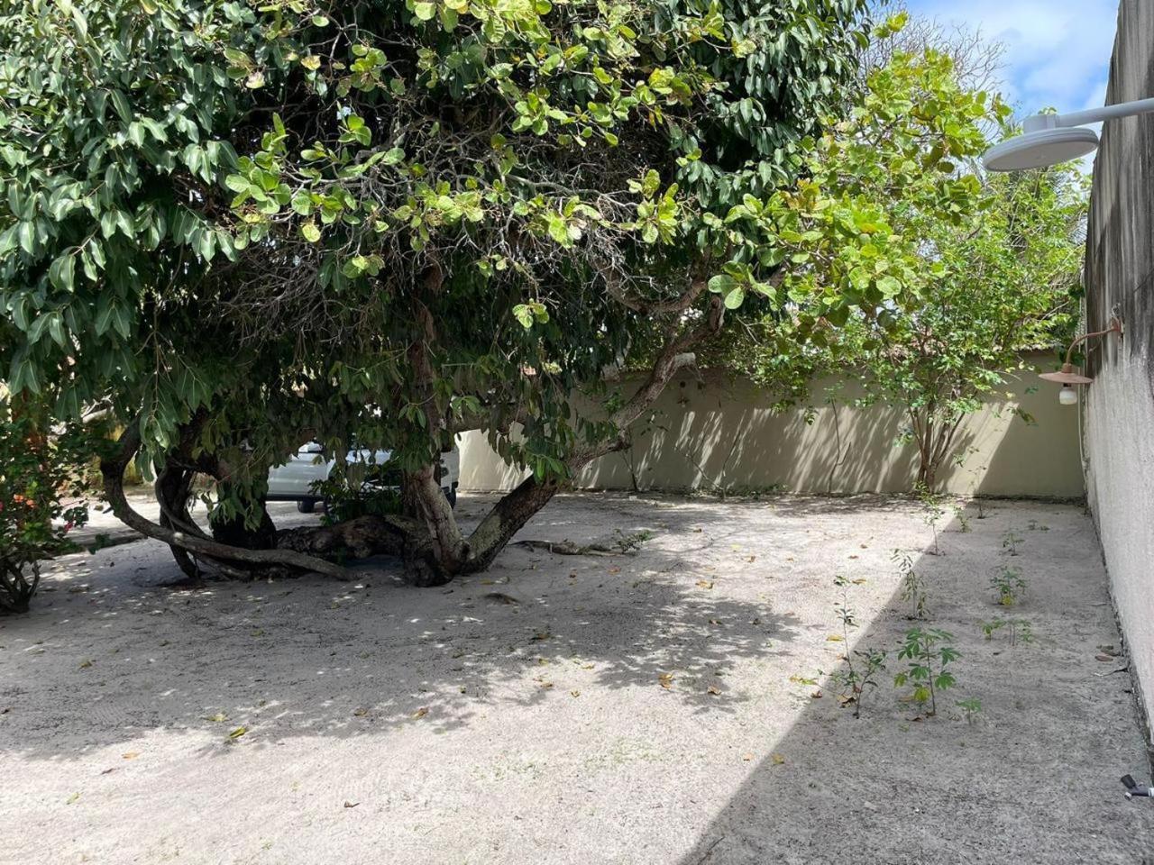 Recanto Das Aroeiras Alcobaça Kültér fotó