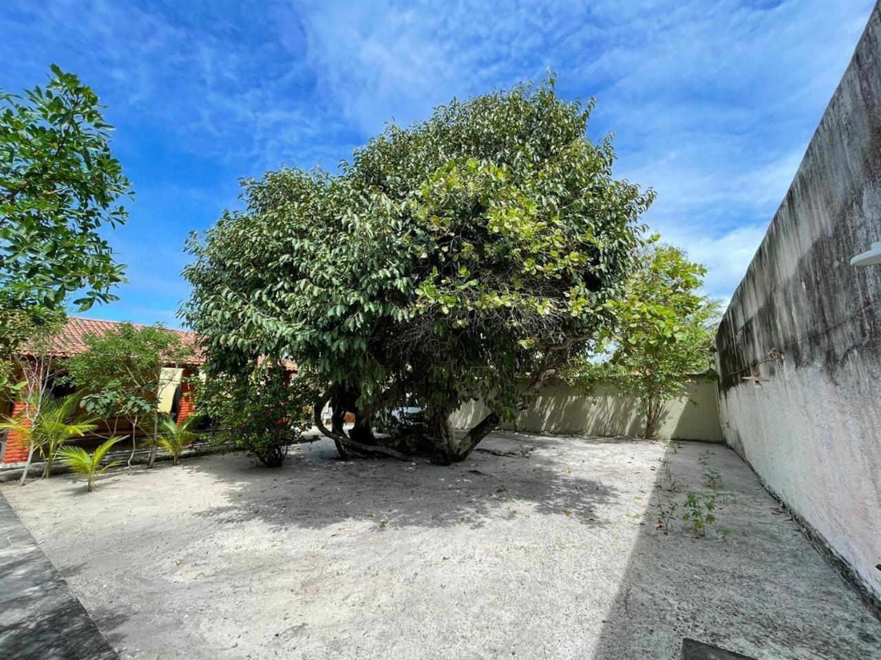 Recanto Das Aroeiras Alcobaça Kültér fotó